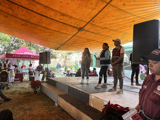 Pilares Dolores Olmedo