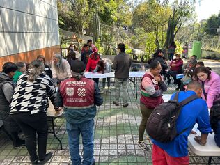 PILARES Árbol del conocimiento