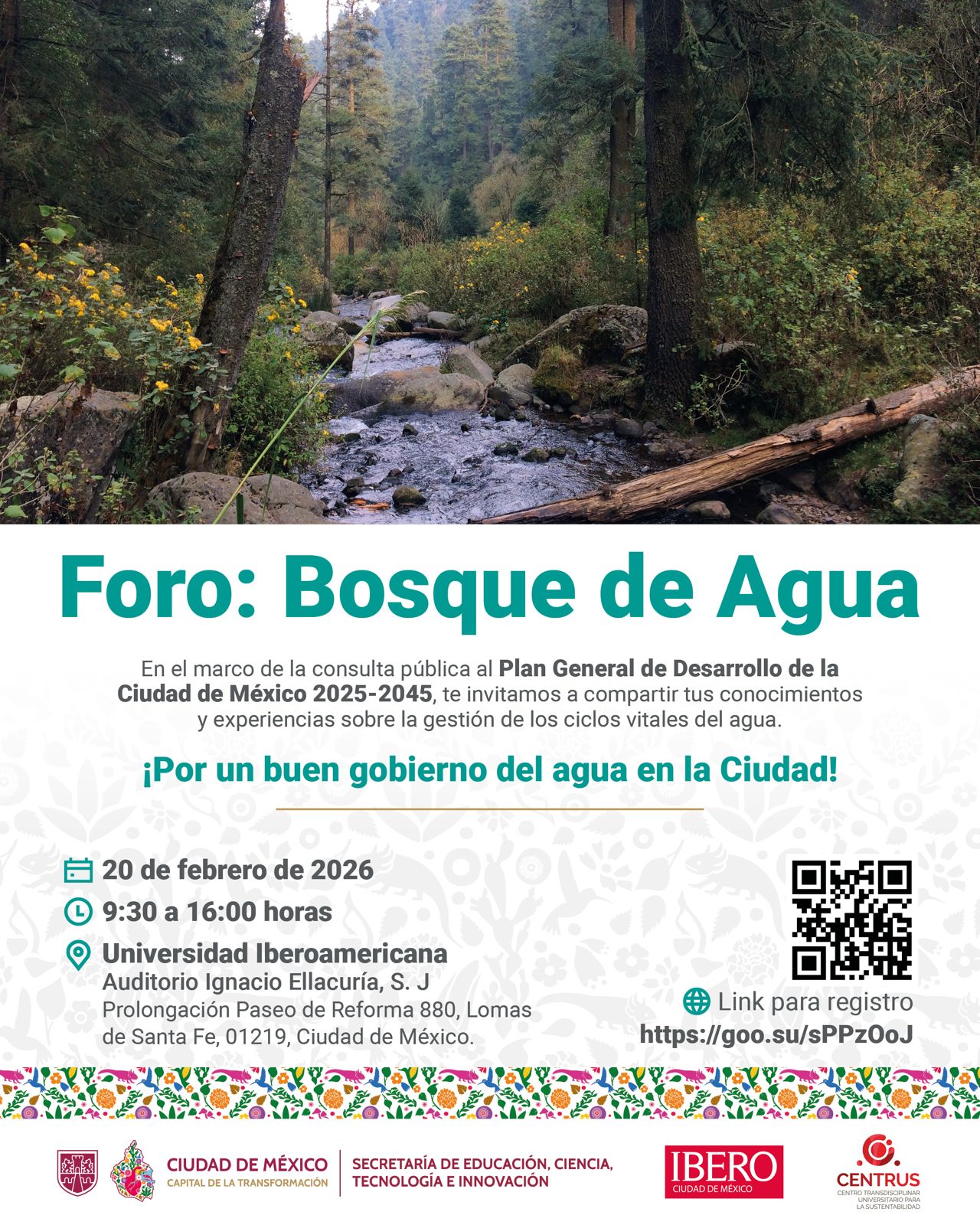 WhatsApp Image 2026-02-11 at 2.43.49 PM