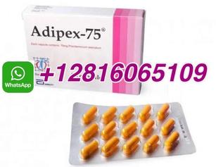 how to order weight loss Adipex retard in UAE, Germany, Argentina